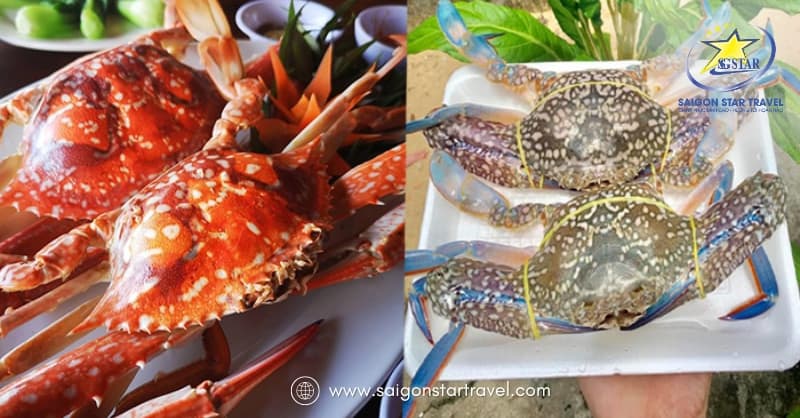 Góc ẩm thực Ghẹ Hàm Ninh Phú Quốc - Ngon Tuyệt Đỉnh | Saigon Star Travel Ghẹ Hàm Ninh Phú Quốc