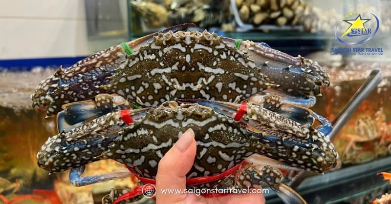 Góc ẩm thực Ghẹ Hàm Ninh Phú Quốc - Ngon Tuyệt Đỉnh | Saigon Star Travel Ghẹ Hàm Ninh Phú Quốc