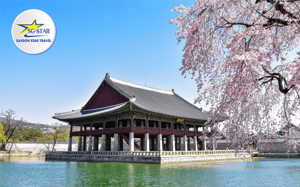 Thưởng thức tour Hàn Quốc mùa xuân trọn vẹn nhất | Saigon Star Travel thuong-thuc-ky-nghi-mua-xuan-tuyet-voi-tai-han-quoc-2