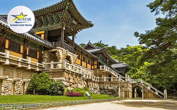 Tour Hàn Quốc tháng 3 có gì nổi bật và thu hút du khách? | Saigon Star Travel tour-han-quoc-thang-3-co-gi-noi-bat-va-thu-hut-du-khach-2