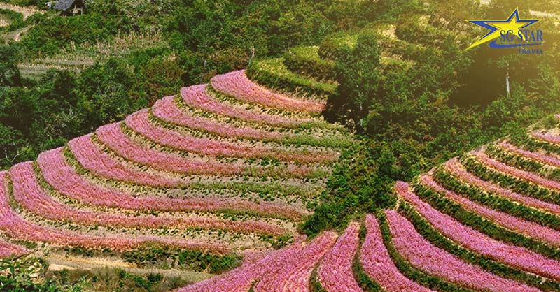 Tour Du Lịch Hà Giang 3 Ngày 3 Đêm - Cao Nguyên Đá Đồng Văn | Saigon Star Travel Tour Du Lịch Hà Giang 3 Ngày 3 Đêm - Cao Nguyên Đá Đồng Văn