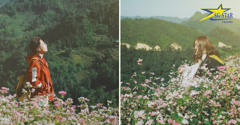 Tour Du Lịch Hà Giang 3 Ngày 3 Đêm - Cao Nguyên Đá Đồng Văn | Saigon Star Travel Tour Du Lịch Hà Giang 3 Ngày 3 Đêm - Cao Nguyên Đá Đồng Văn