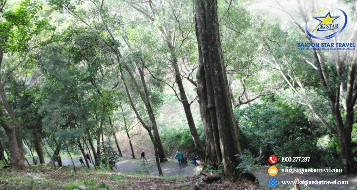 Hành hương Đồi Đức Mẹ Giang Sơn