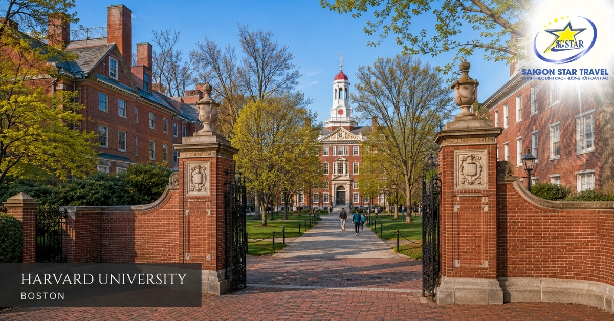 Đại học Harvard trong hành trình Tour Mỹ Boston