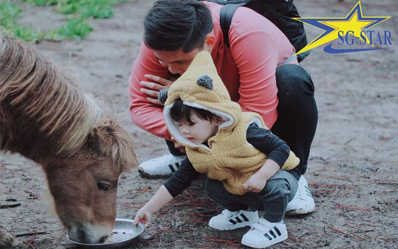 Bé sẽ thoả thích khám phá thế giới động vật tại sở thú ZooDoo Bé sẽ thoả thích khám phá thế giới động vật tại sở thú ZooDoo