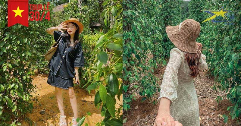 Tour Phú Quốc 3 Ngày 2 Đêm - Bao Vé Máy Bay Khứ Hồi Lễ 30/4 | Saigon Star Travel Tham quan Hồ tiêu - du lịch Phú Quốc 2023