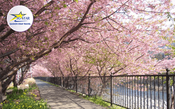 Kinh nghiệm đi tour Hàn Quốc Đài Loan không thể bỏ lỡ | Saigon Star Travel kinh-nghiem-di-tour-han-quoc-dai-loan-khong-the-bo-lo-6