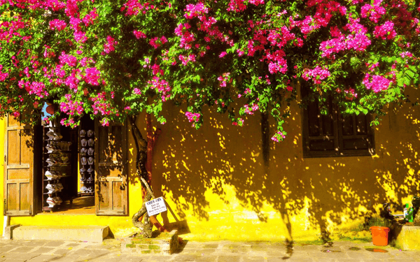 Khám phá cảnh đẹp Hội An | Saigon Star Travel canh-dep-hoi-an-7