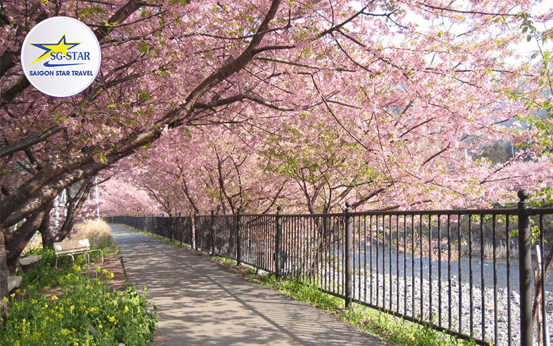 Đặt ngay tour Hàn Quốc 30/4 để không bỏ lỡ cơ hội chiêm ngưỡng hoa Anh Đào | Saigon Star Travel tour-han-quoc-30-4-1