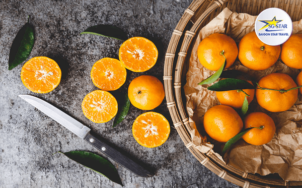 Vườn quýt Lai Vung địa điểm du lịch thú vị tại Đồng Tháp | Saigon Star Travel hodota-resort-chon-thien-duong-danh-cho-nghi-duong-4