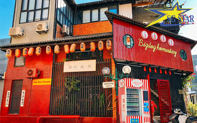 Bỏ túi bí kíp du lịch Ninh Thuận - Ninh Chữ từ A đến Z | Saigon Star Travel Homestay Bigdog với bức tường sống ảo Lan Quế Phường triệu like tại Ninh Thuận