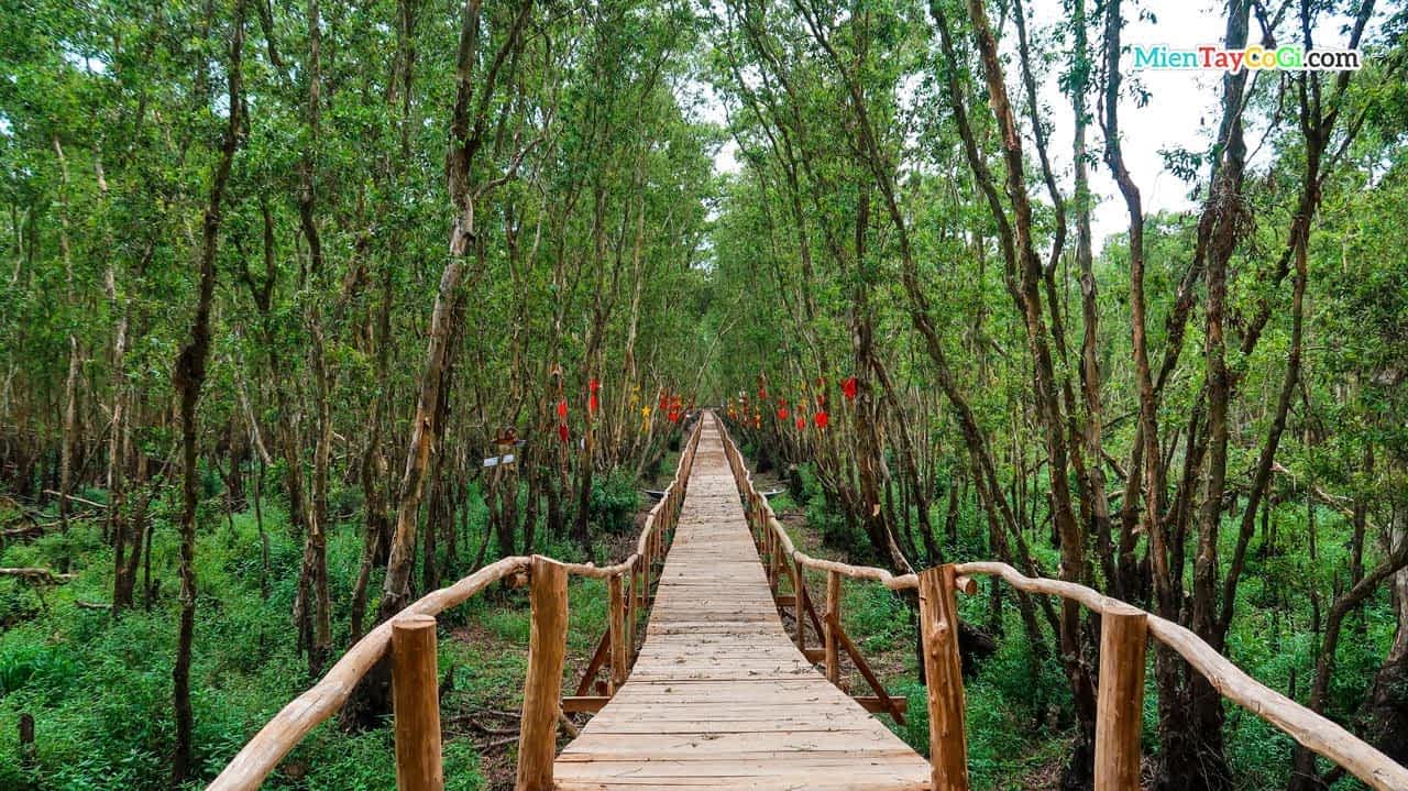 Tour miền Tây Tết Nguyên Đán nên đi đâu?