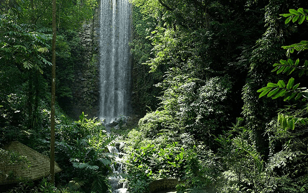 Vườn chim Jurong Singapore - Vương quốc các loài chim | Saigon Star Travel jurong-vuong-quoc-cac-loai-chim-3