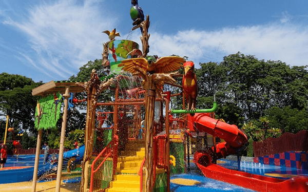 jurong-vuong-quoc-cac-loai-chim-4