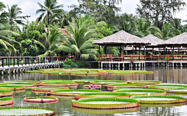 Chia sẻ một số kinh nghiệm tham quan khu du lịch Văn Thánh, Sài Gòn | Saigon Star Travel kdl-van-thanh-4454-1