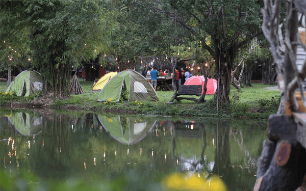 Khu du lịch Bò Cạp Vàng- địa điểm vui chơi "khét tiếng" Đồng Nai | Saigon Star Travel khu-du-lich-bo-cap-vang-dia-diem-vui-choi-khet-tieng-dong-nai-2