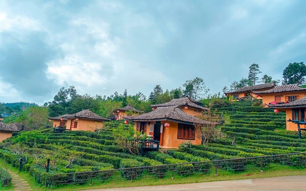 Khám phá Ban Rak Thai - Làng người Hoa trên đất Thái Lan | Saigon Star Travel kham-pha-ban-rak-thai-lang-nguoi-hoa-tren-dat-thai-lan-2