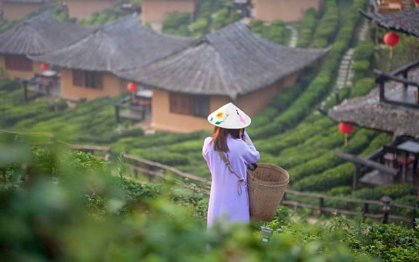 Khám phá Ban Rak Thai - Làng người Hoa trên đất Thái Lan | Saigon Star Travel kham-pha-ban-rak-thai-lang-nguoi-hoa-tren-dat-thai-lan-5