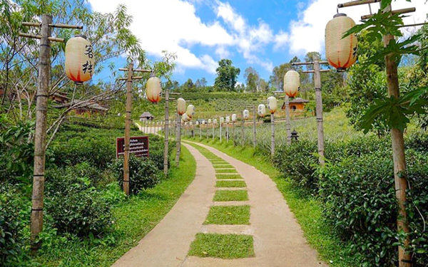 Khám phá Ban Rak Thai - Làng người Hoa trên đất Thái Lan | Saigon Star Travel kham-pha-ban-rak-thai-lang-nguoi-hoa-tren-dat-thai-lan-6