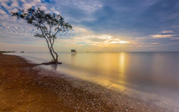 kham pha bien tan thanh chen sach hai san tuoi ngon 1