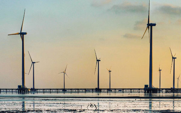 Khám phá cánh đồng điện gió Bạc Liêu | Saigon Star Travel kham-pha-canh-dong-dien-gio-bac-lieu-1