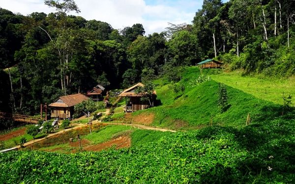 Khám phá khu du lịch Măng Đen – một địa điểm du lịch mới | Saigon Star Travel kham pha khu du lich mang den mot dia diem du lich moi 4