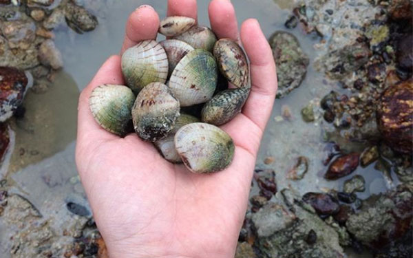 Khám phá vẻ đẹp hoang sơ của đảo Hải Tặc Kiên Giang | Saigon Star Travel kham-pha-ve-dep-hoang-so-cua-dao-hai-tac-kien-giang-5