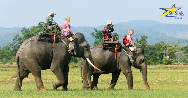 Tour Du Lịch Tà Đùng - Buôn Mê Thuột Lễ 2/9 3N3Đ Hot Nhất | Saigon Star Travel khu du lich ban don