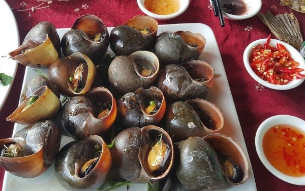 Khu Du Lịch Bình Xuyên - Sinh Thái Xanh Trong Lòng Thành Phố | Saigon Star Travel khu du lich binh xuyen sinh thai xanh trong long thanh pho 8