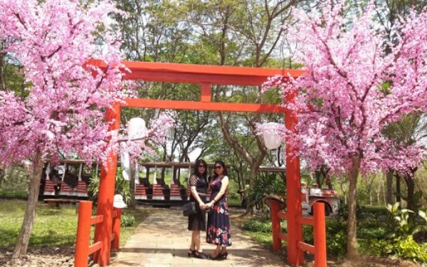 Khu du lịch Giang Điền - điểm đến hấp dẫn cho bạn trẻ ưa khám phá | Saigon Star Travel khu du lich giang dien diem den hap dan cho ban tre ua kham pha 5