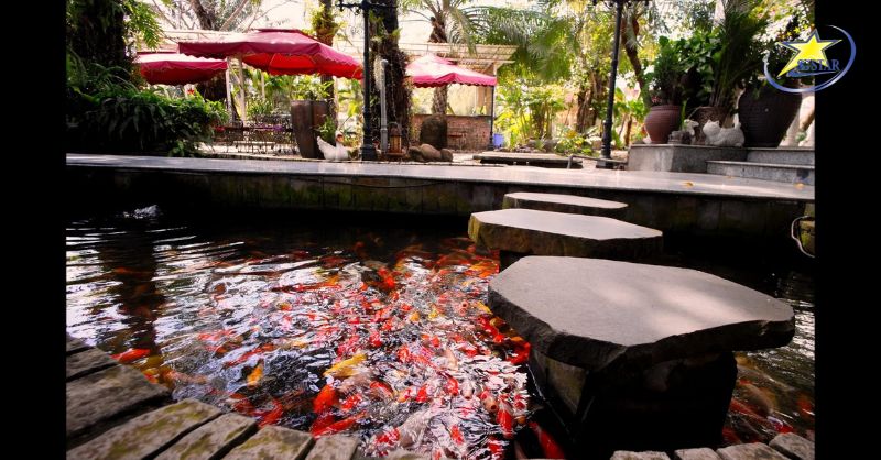 Khu du lịch sinh thái Huỳnh Kha Trà Vinh