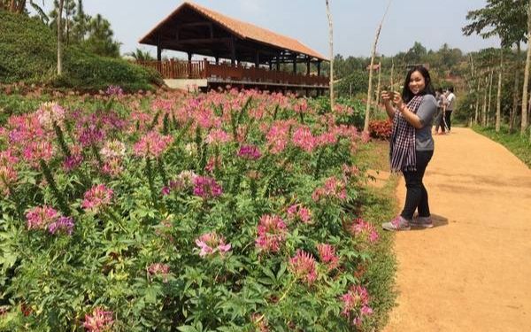 Khu du lịch Kotam điểm đến cho kỳ nghỉ này | Saigon Star Travel khu du lich kotam diem den cho ky nghi nay 6