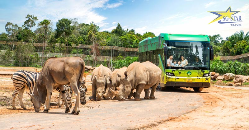Địa Điểm Du Lịch Phú Quốc Hấp Dẫn Nhất Bạn Không Nên Bỏ Qua | Saigon Star Travel Tham quan thế giới hoang dã tại Vinpearl Safari Phú Quốc