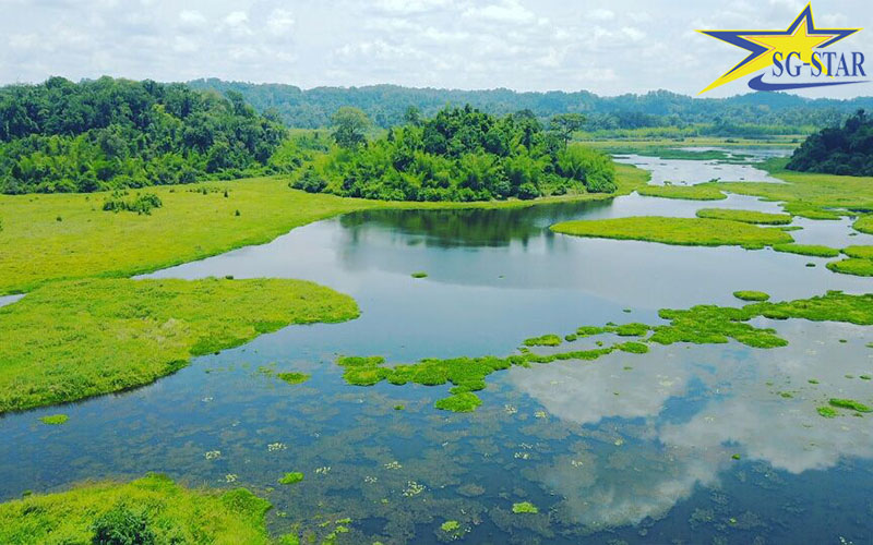 Top 9 khu du lịch sinh thái Đà Nẵng | Saigon Star Travel Điểm danh các khu du lịch sinh thái tốt nhất Đà Nẵng