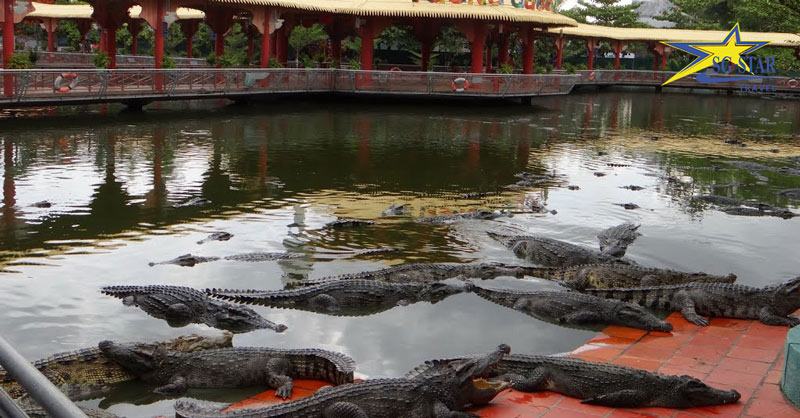 Khu du lịch Suối Tiên - lịch sử con Rồng cháu Tiên Việt Nam | Saigon Star Travel khu du lich suoi tien lich su con rong chau tien5