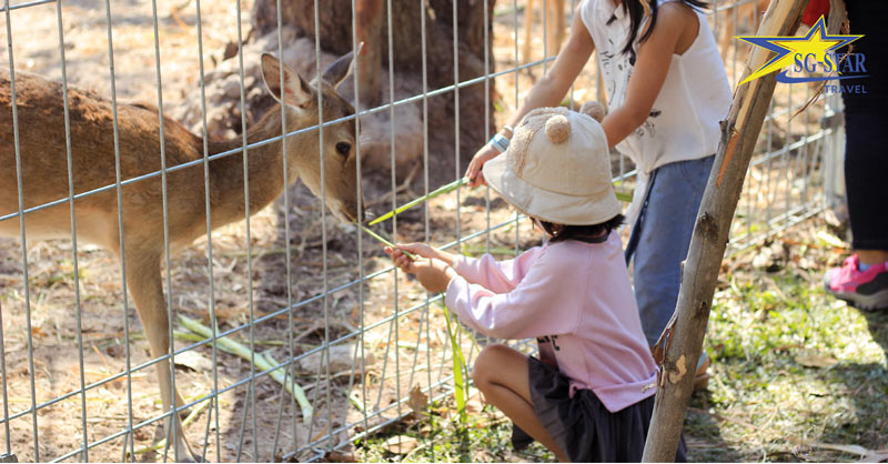 Khu du lịch Suối Tiên - lịch sử con Rồng cháu Tiên Việt Nam | Saigon Star Travel Khu du lịch Suối Tiên