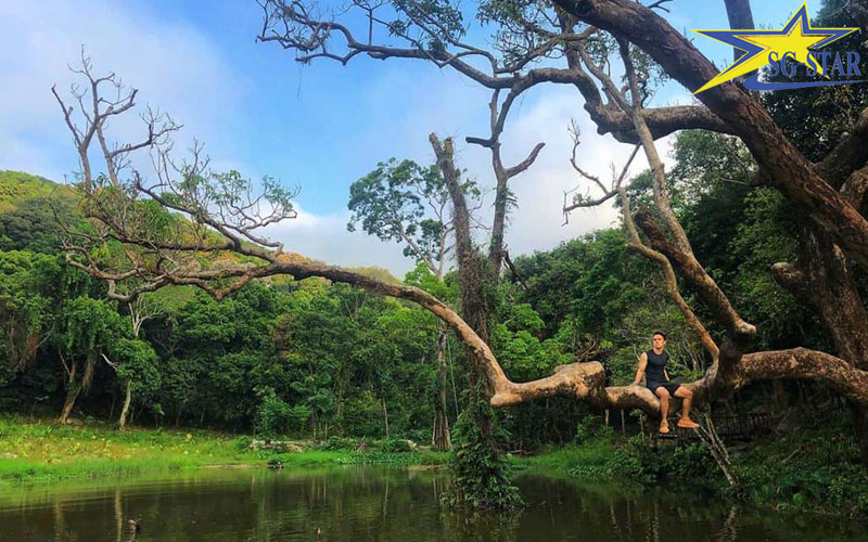 Khung cảnh thơ mộng tại Nhất Lâm Thủy Trang Trà