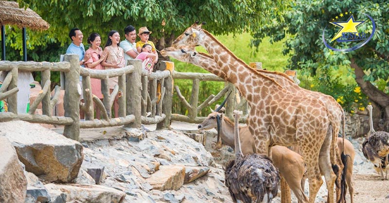 Du Lịch Đảo Hòn Tre Nha Trang - Điểm Đến Không Thể Chối Từ | Saigon Star Travel Kings Garden Nha Trang - VinWonders Nha Trang