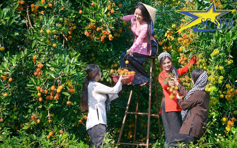 Du Lịch Tết Miền Tây – Hành Trình Khám Phá Vùng Sông Nước | Saigon Star Travel kinh nghiem dat tour du lich mien tay 1 min