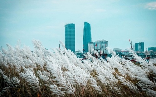 Kinh nghiệm đi du lịch Đà Nẵng tháng 3 đầy đủ từ A-Z | Saigon Star Travel kinh-nghiem-di-du-lich-da-nang-thang-3-day-du-tu-a-z-2