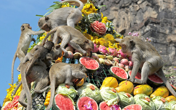 Kinh nghiệm đi tour Thái Lan tháng 11 mới nhất | Saigon Star Travel kinh nghiem di tour thai lan thang 11 moi nhat 10