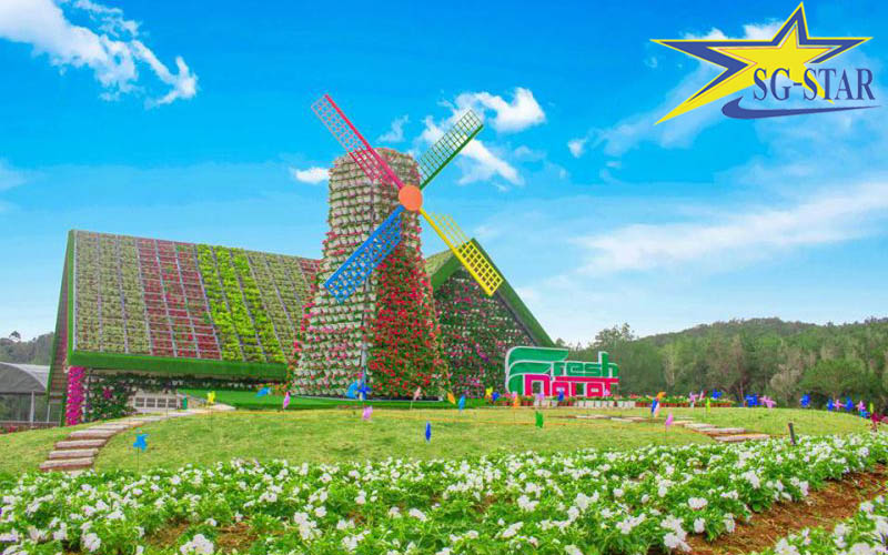 Kinh nghiệm du lịch Đà Lạt 2 ngày 1 đêm tự túc