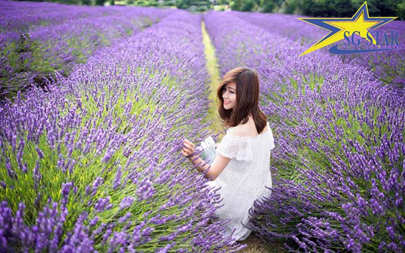 Bỏ túi kinh nghiệm du lịch Đà Lạt 2 ngày 1 đêm tự túc | Saigon Star Travel  Ngày thứ 2 khám phá Đà Lạt với nhiều địa điểm hấp dẫn