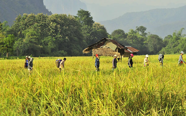 Du lịch Lào - vương quốc triệu voi | Saigon Star Travel kinh-nghiem-du-lich-lao-6512-3