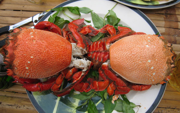 Kinh nghiệm du lịch Ninh Thuận bạn không nên bỏ qua | Saigon Star Travel kinh-nghiem-du-lich-ninh-thuan-ban-khong-nen-bo-qua-8