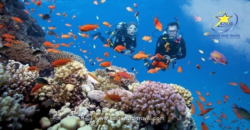 Kinh Nghiệm Du Lịch Phú Quốc 3N2Đ Lịch Trình Chi Tiết Review 2024 | Saigon Star Travel kinh-nghiem-du-lich-phu-quoc-3n2d (3)