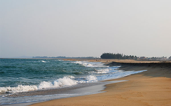 kinh-nghiem-du-lich-quang-ngai-chi-tiet-nhat-1