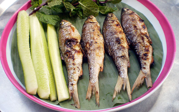 kinh-nghiem-du-lich-quang-ngai-chi-tiet-nhat-8