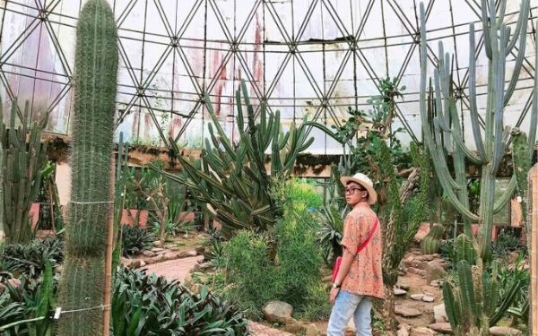 Kinh nghiệm du lịch vườn Quốc gia Ba Vì 2023 | Saigon Star Travel kinh nghiem du lich vuon quoc gia ba vi 2020 9