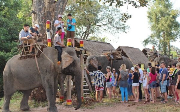 Kinh nghiệm khám phá khu du lịch Buôn Đôn Đăk Lăk | Saigon Star Travel kinh nghiem kham pha khu du lich buon don dak lak 3